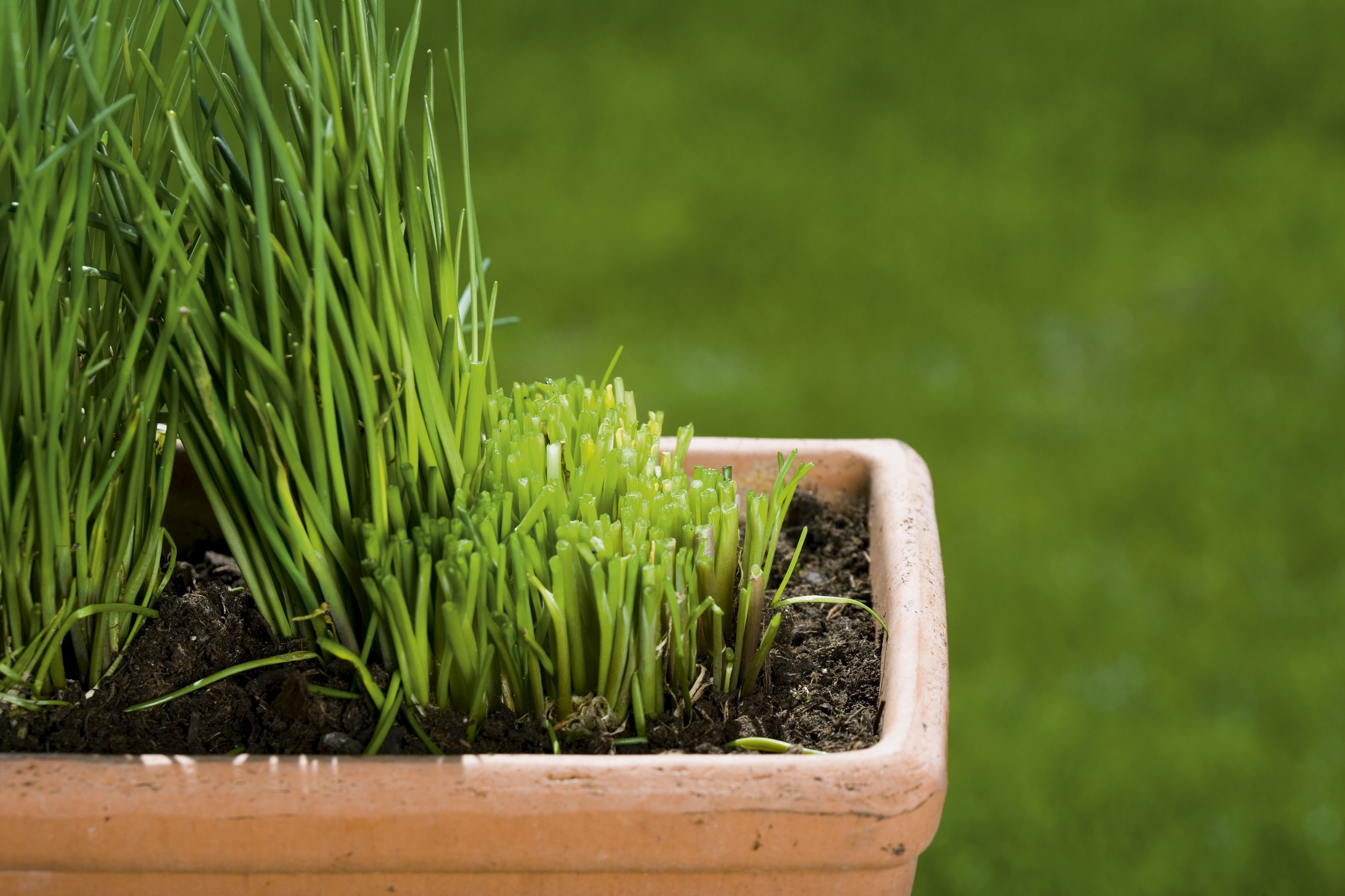 Tijeras multiuso GARDENA. Taejeta informativa