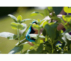 Tijeras multiuso GARDENA. Taejeta informativa