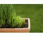 Tijeras multiuso GARDENA. Taejeta informativa