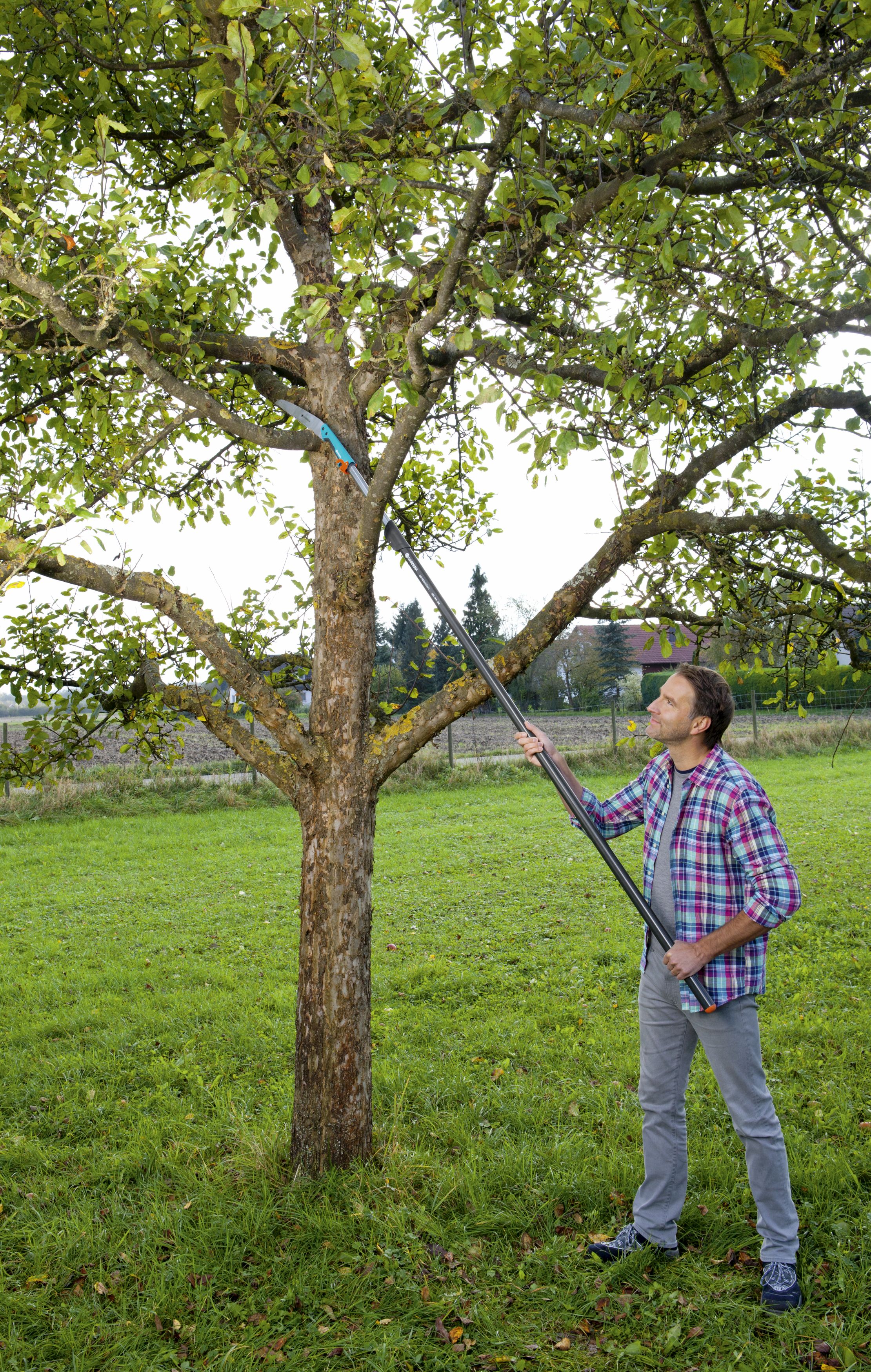 Sierra de jardín combisystem cuchilla recta 300 PP
