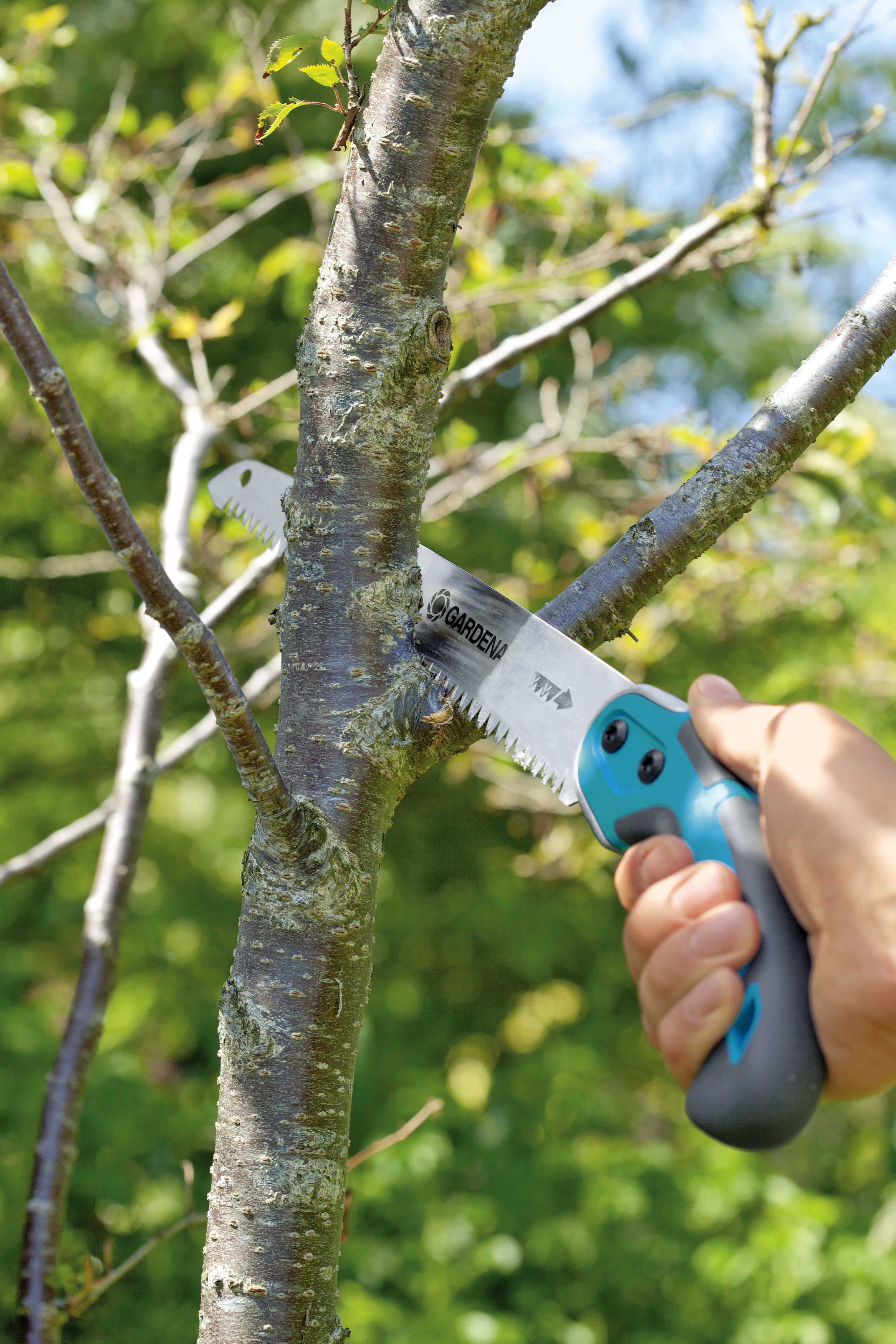 Sierra de jardín 300P