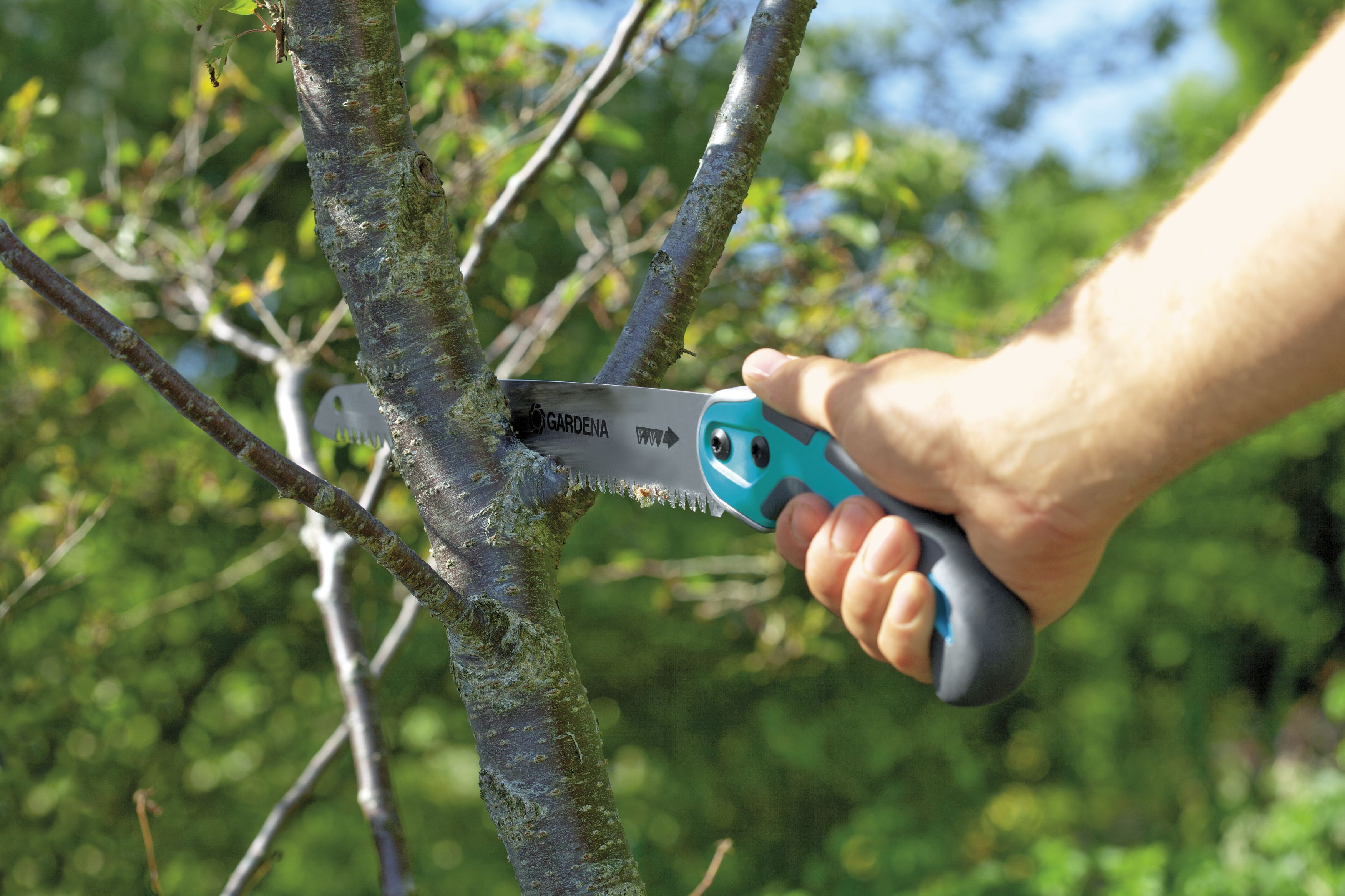 Sierra de jardín 300P