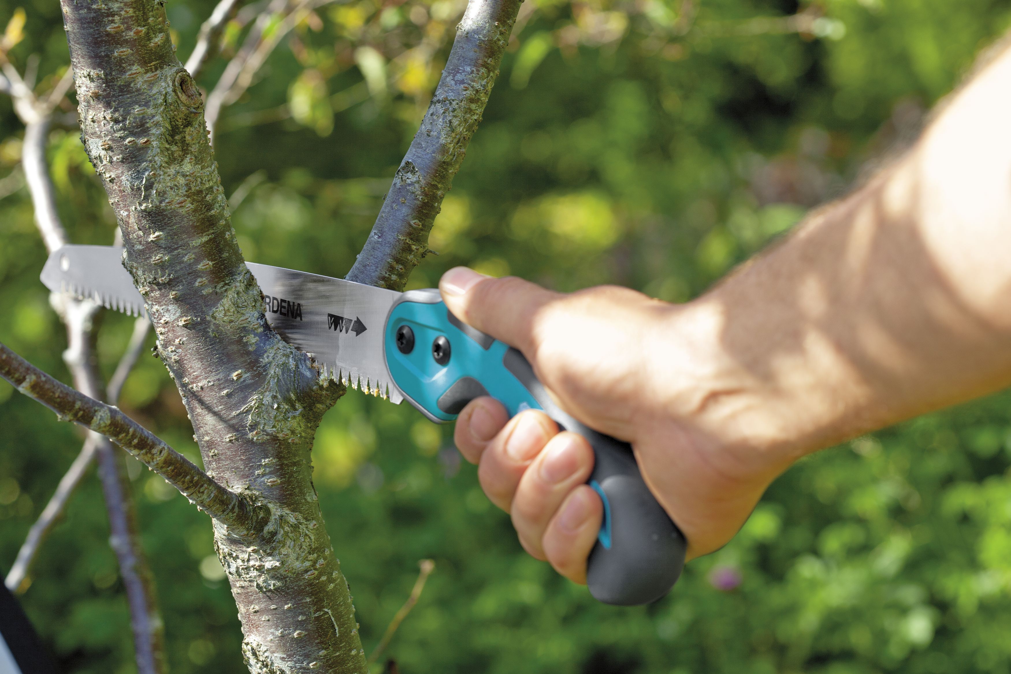 Sierra de jardín 300P