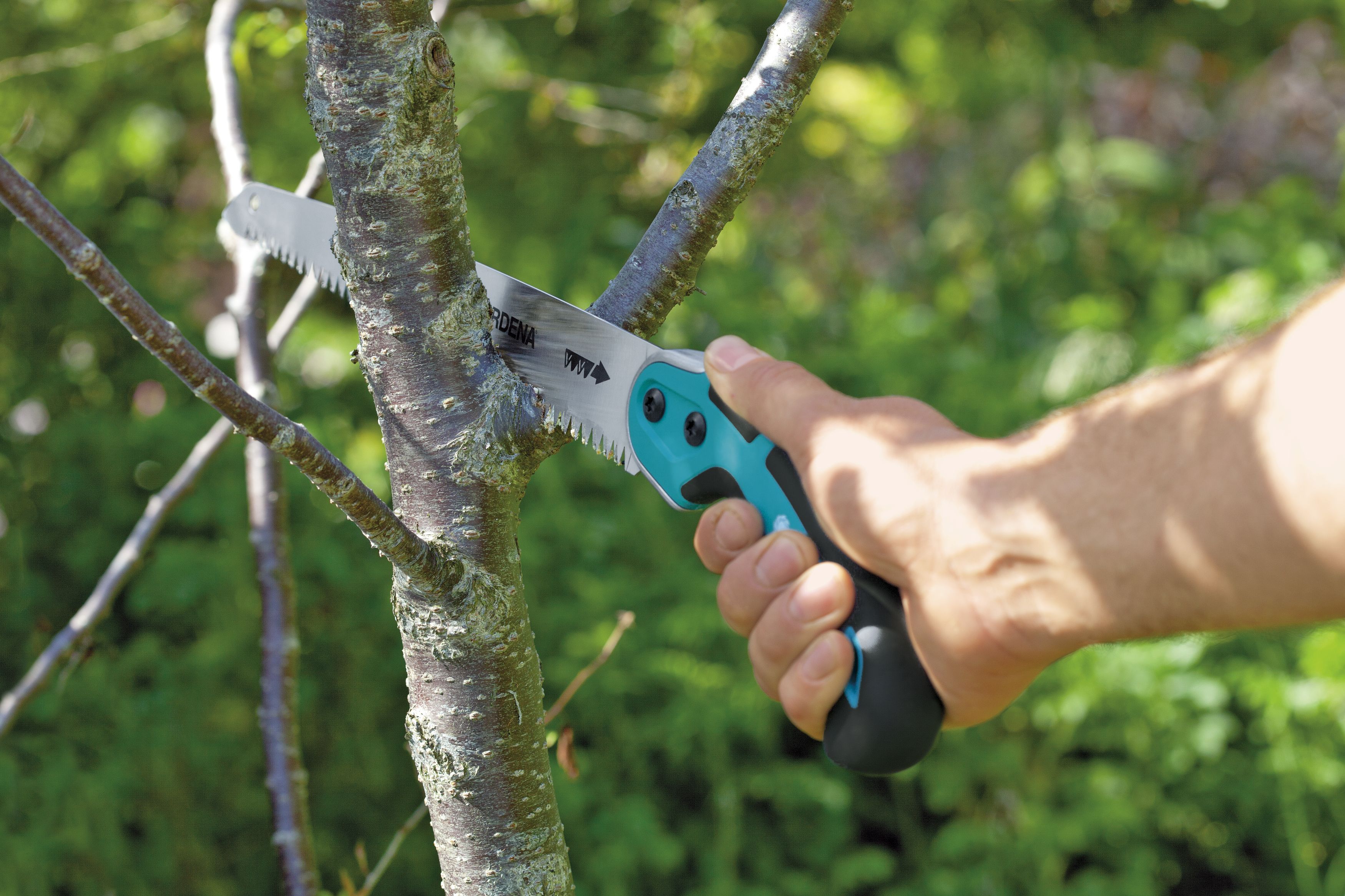 Sierra de jardín 300P