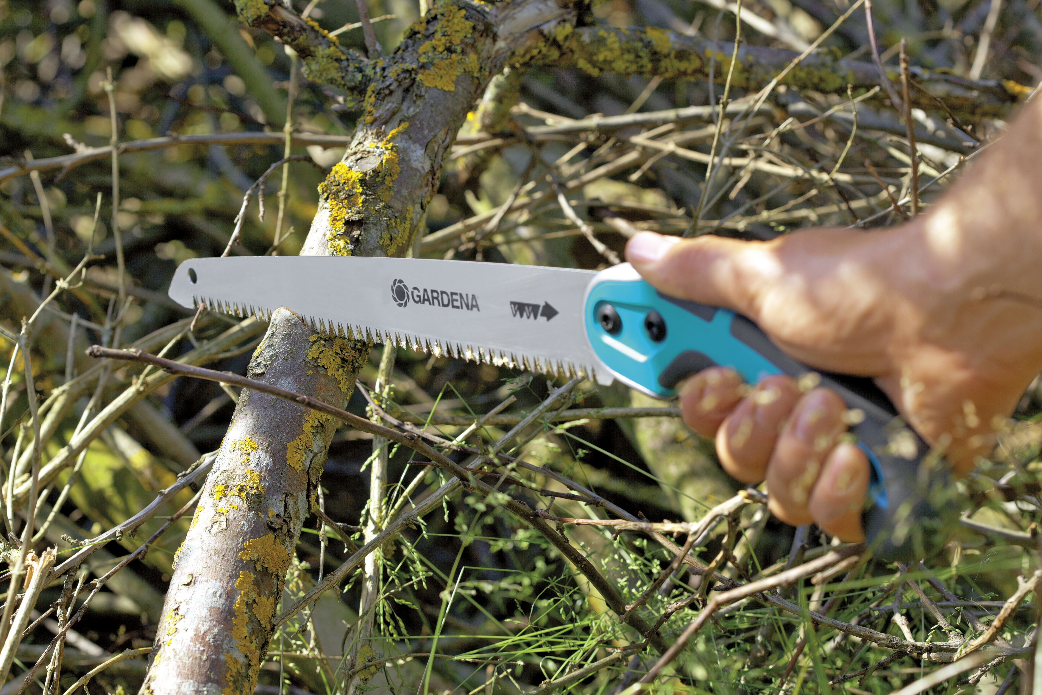 Sierra de jardín 300P