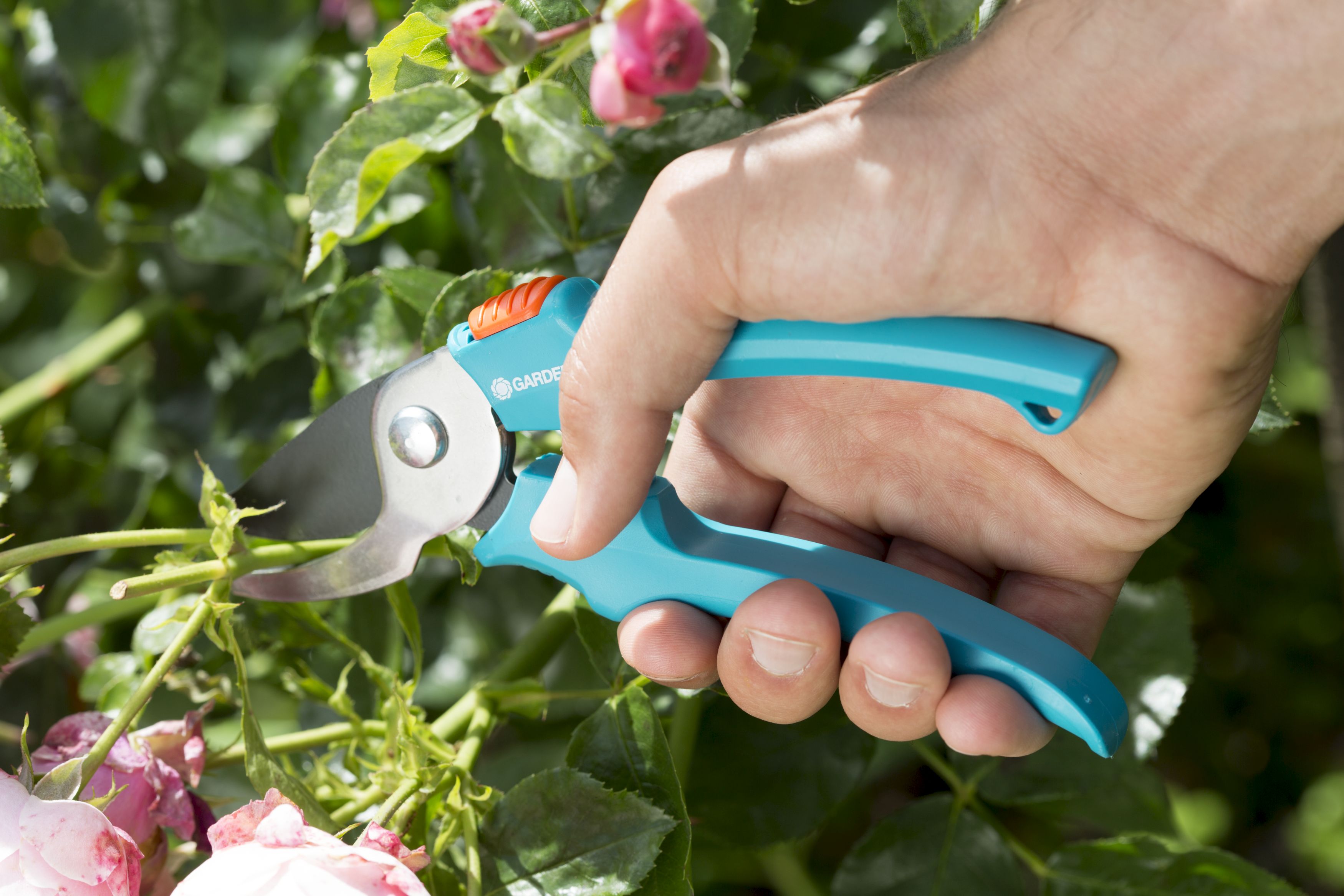 Tijeras para podar rosales Classic