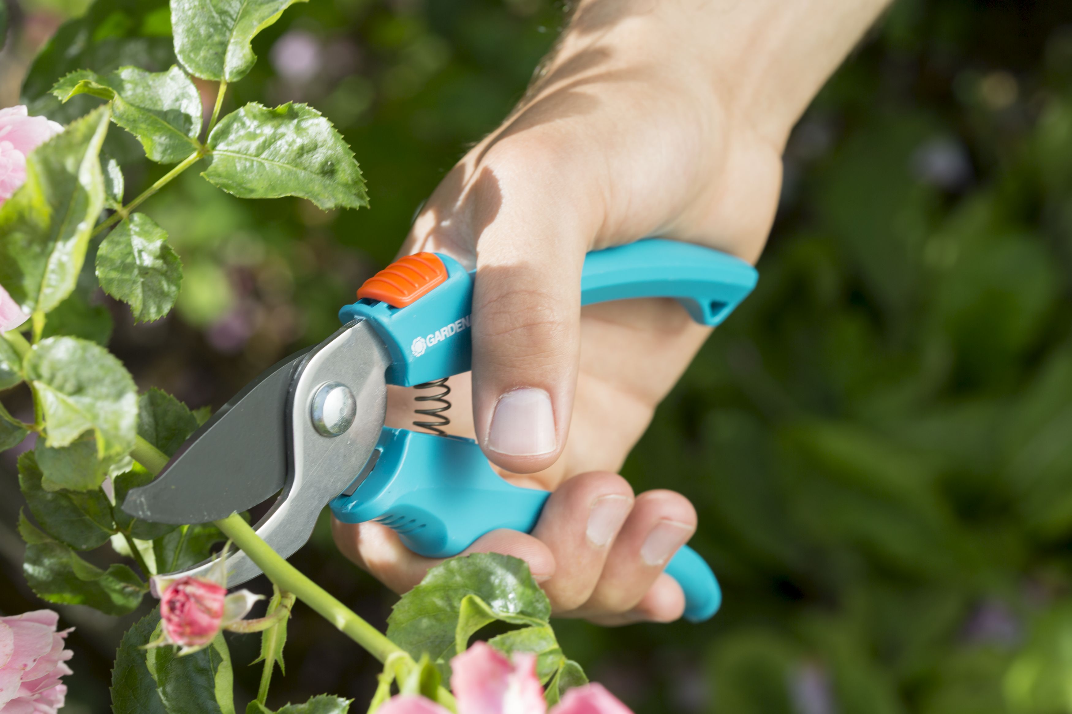 Tijeras para podar rosales Classic