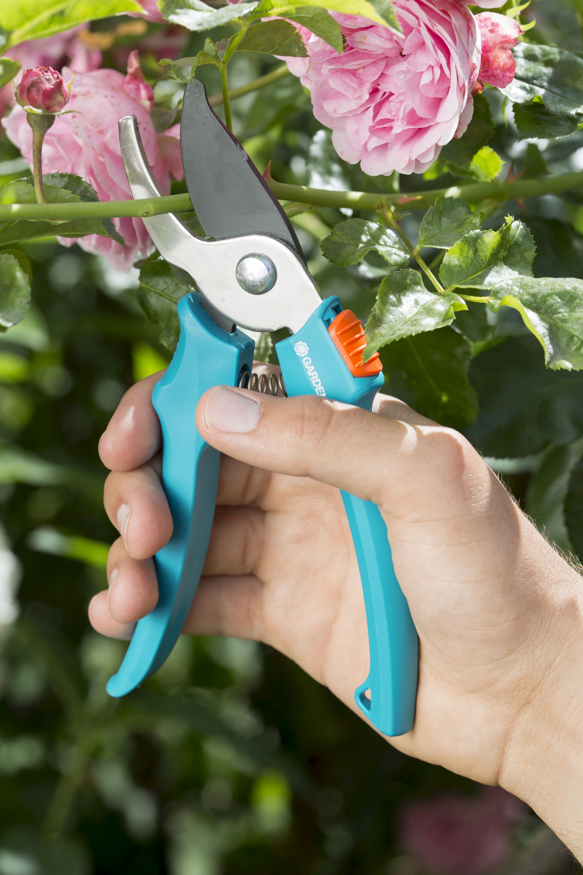 Tijeras para podar rosales Classic