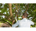 Cortarramas de trinquetes SmartCut Comfort