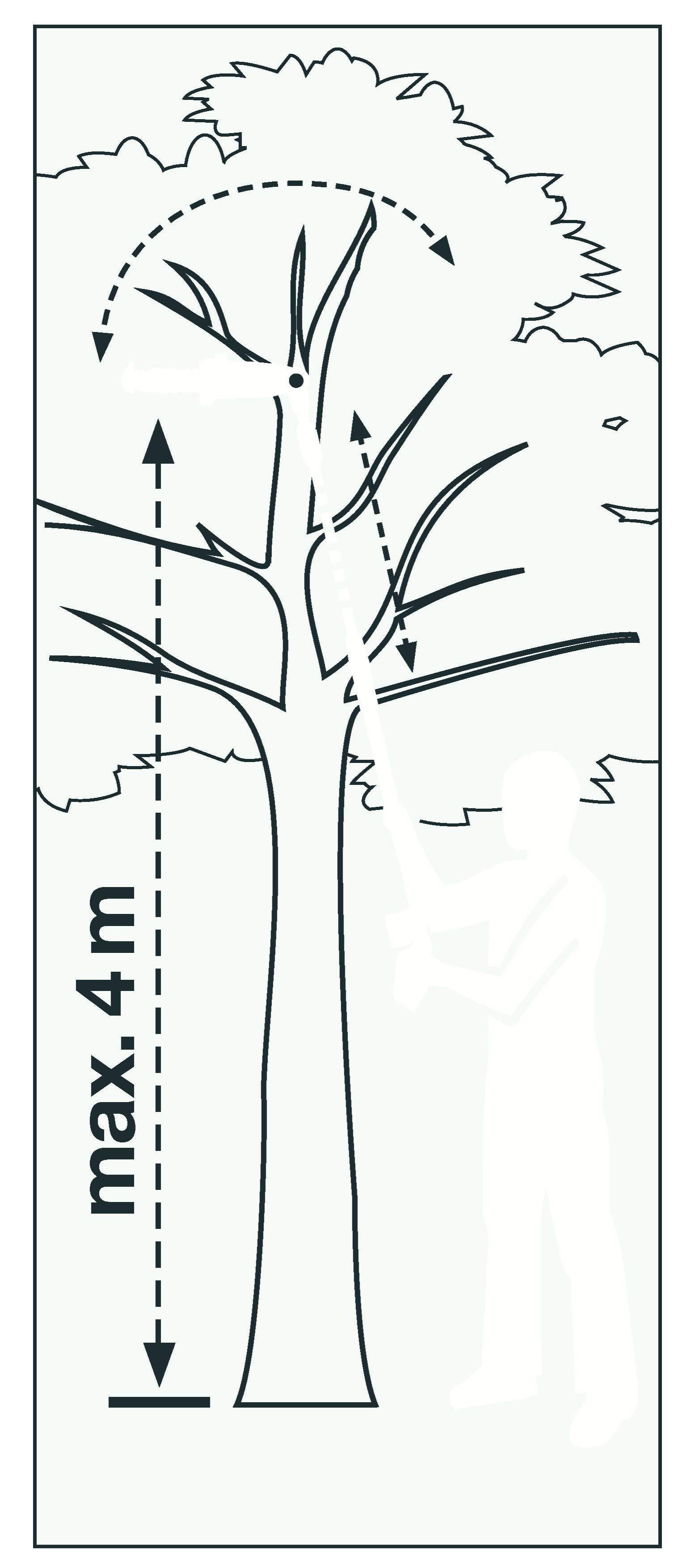 Sierra de pértiga telescópica con Accu TCS Li 18/20