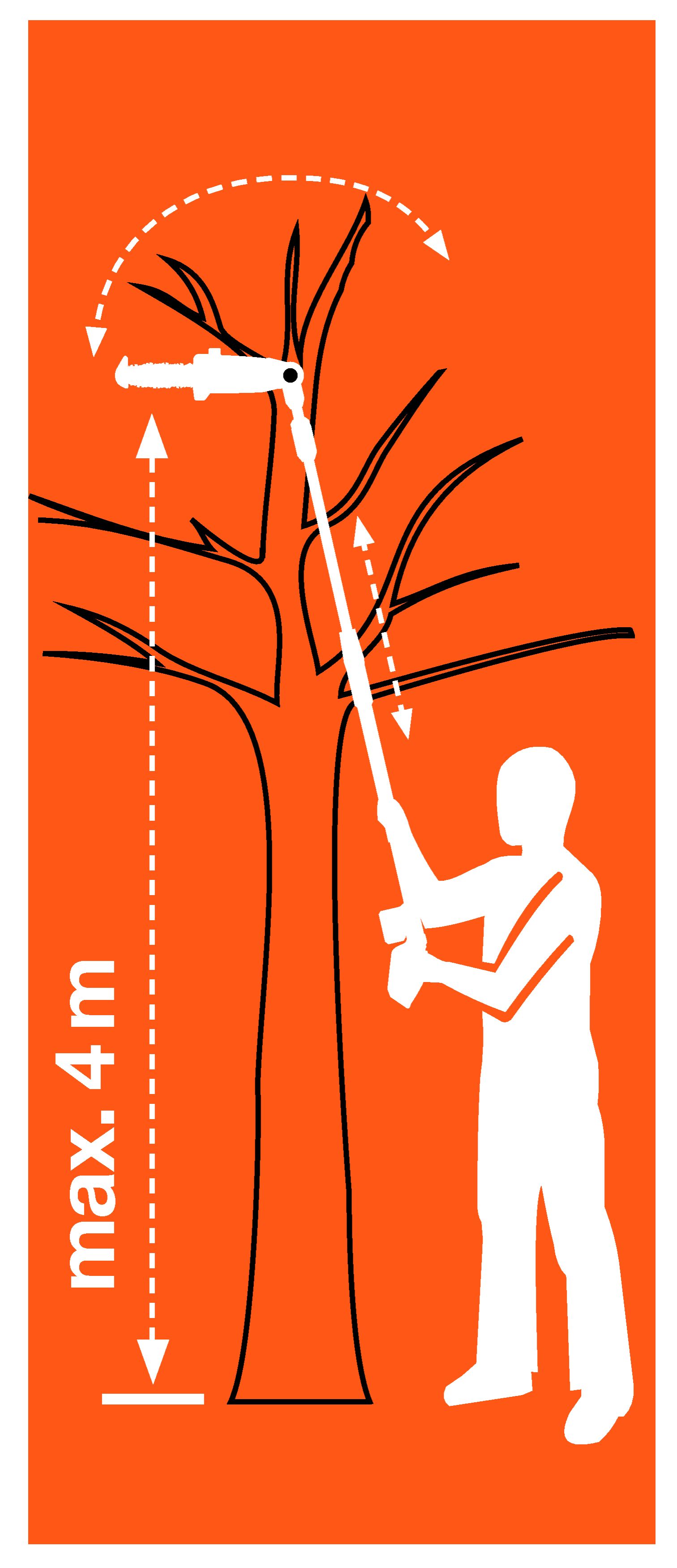 Sierra de pértiga telescópica con Accu TCS Li 18/20