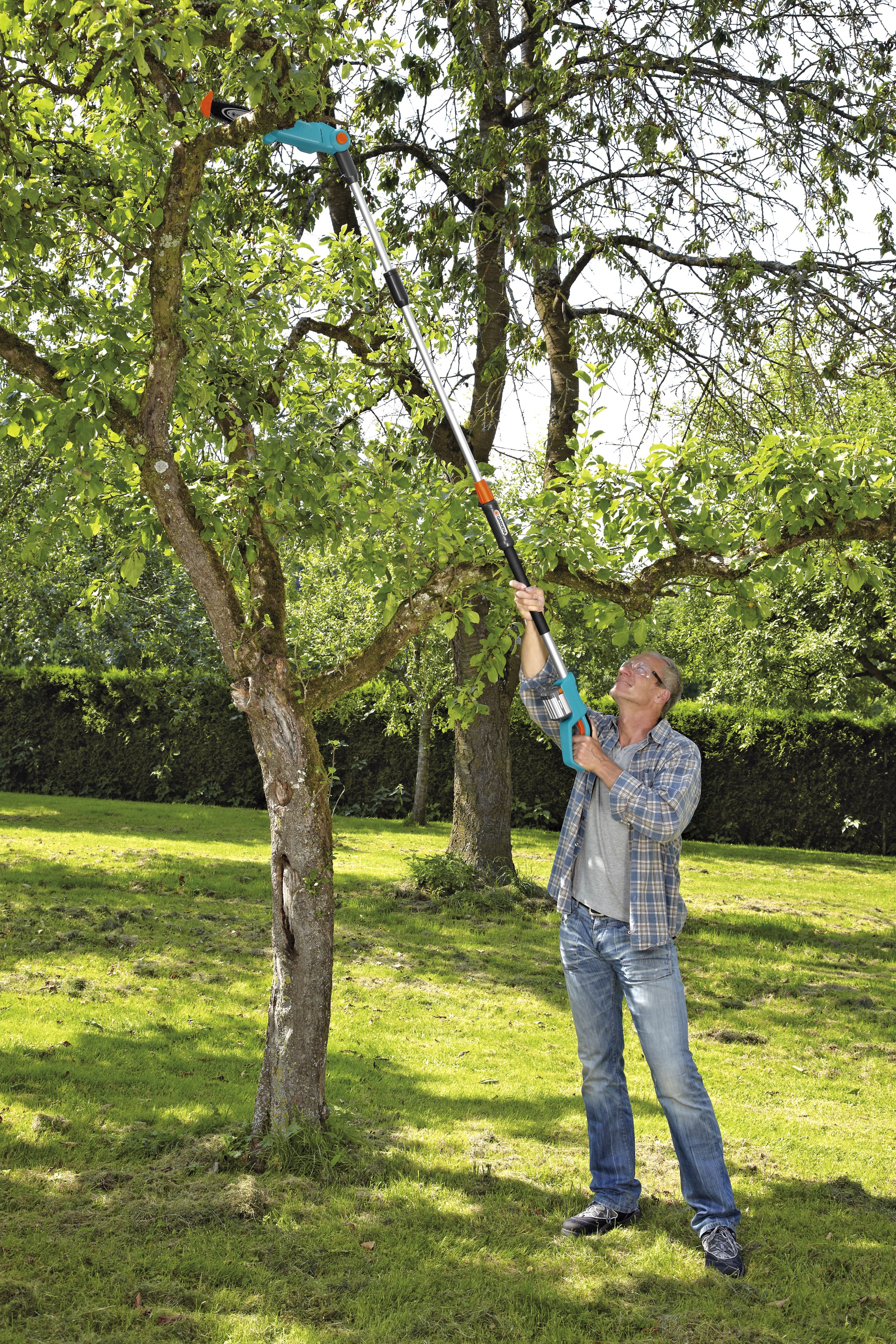 Sierra de pértiga telescópica con Accu TCS Li 18/20
