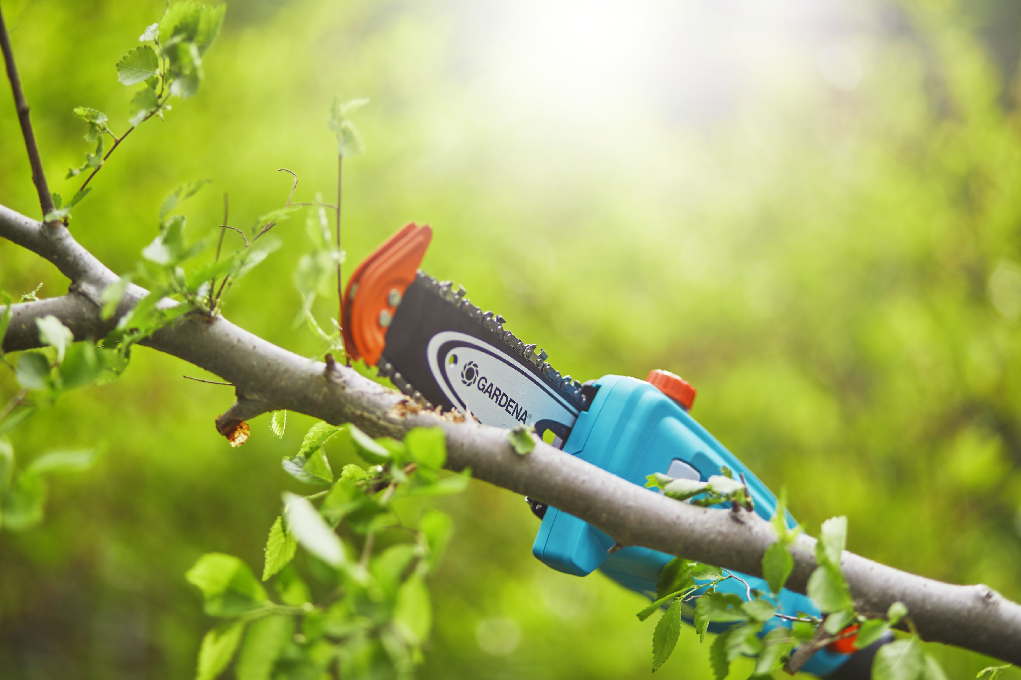 Sierra de pértiga telescópica con Accu TCS Li 18/20