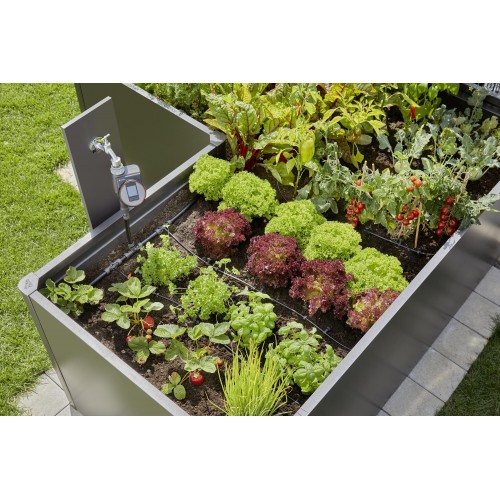 Set de inicio para parterres y parterres elevados (35 plantas)