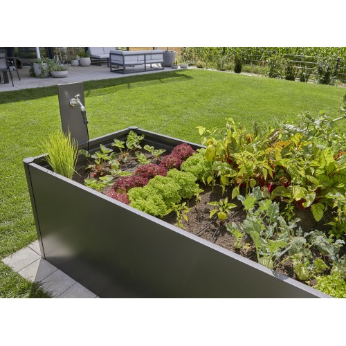 Set de inicio para parterres y parterres elevados (35 plantas)