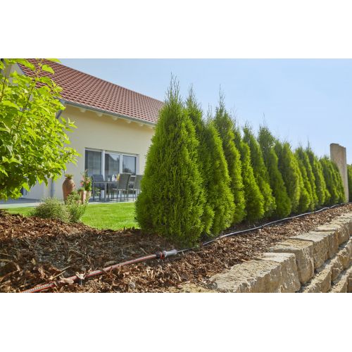 Set de inicio para hileras M 25m