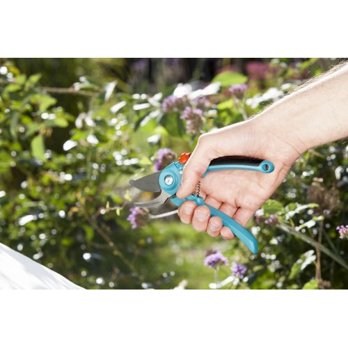 Tijeras de Jardín B/S