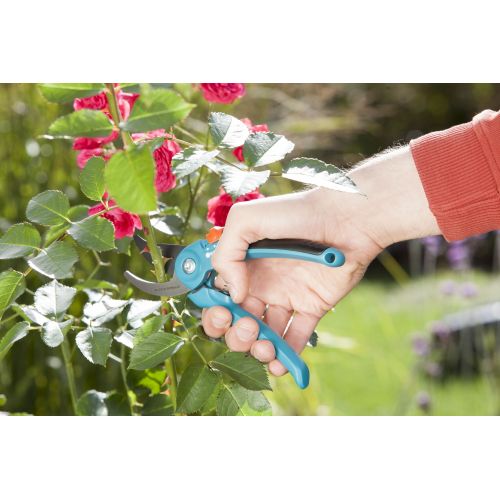Tijeras de Jardín B/S-M