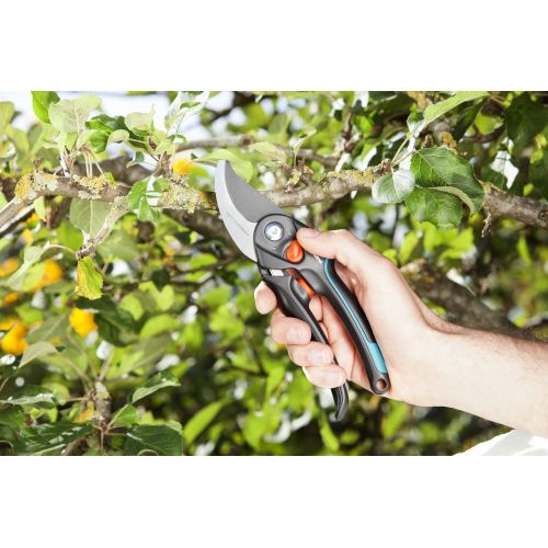 Tijera de Jardín B/S-XL
