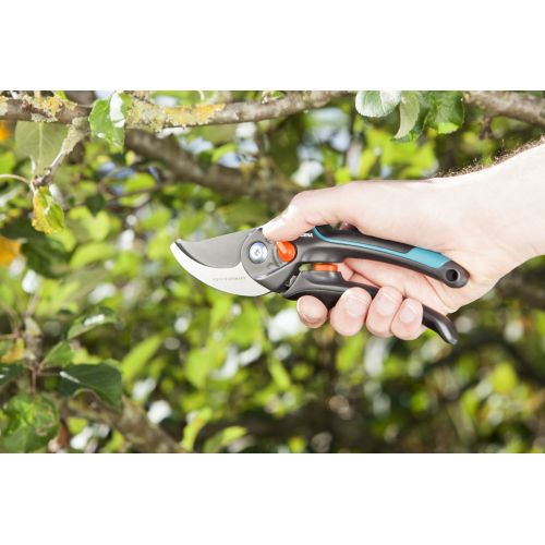 Tijera de Jardín B/S-XL