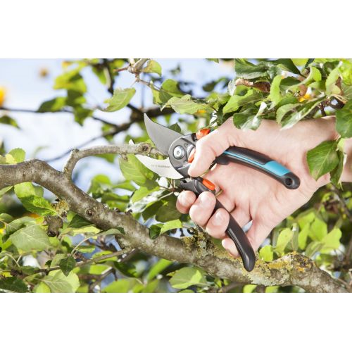 Tijera de Jardín B/S-XL