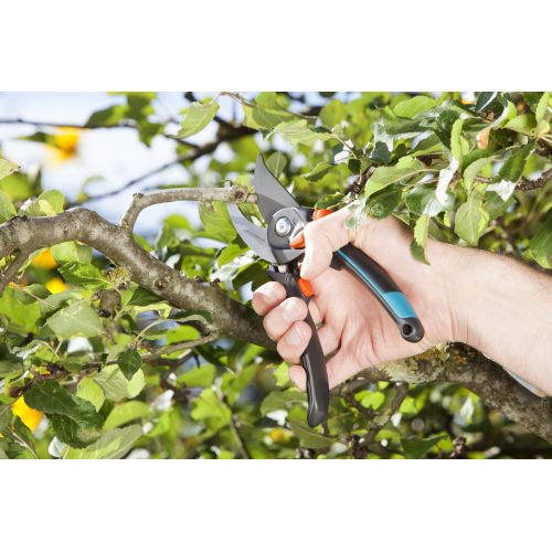 Tijera de Jardín B/S-XL