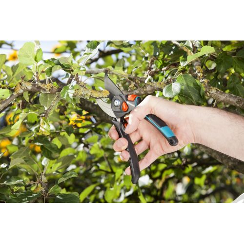 Tijera de Jardín B/S-XL