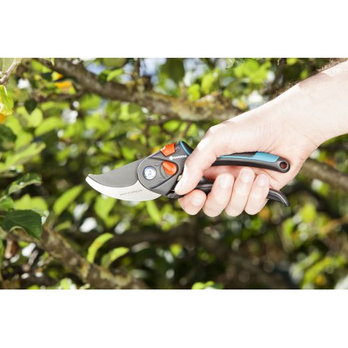 Tijera de Jardín B/S-XL
