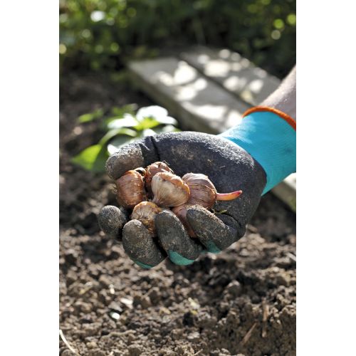 Guantes para plantar y trabajar la tierra. Talla 7 / S