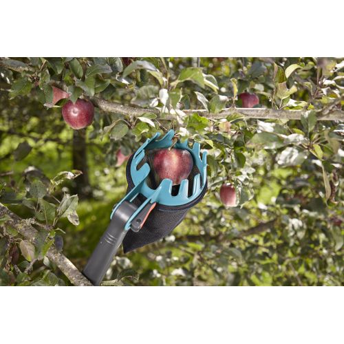Recolector de fruta Combisystem