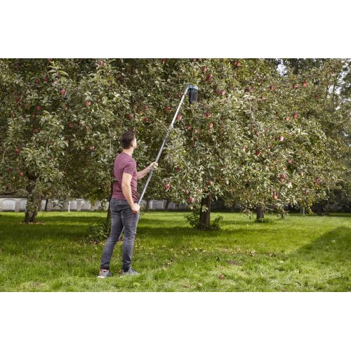 Recolector de fruta Combisystem