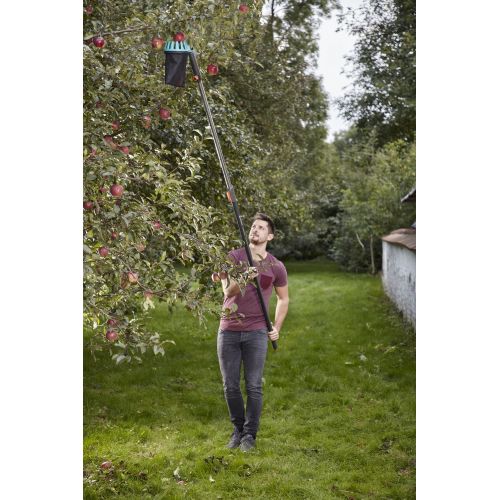 Recolector de fruta Combisystem