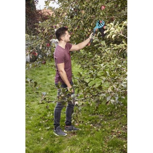 Recolector de fruta Combisystem