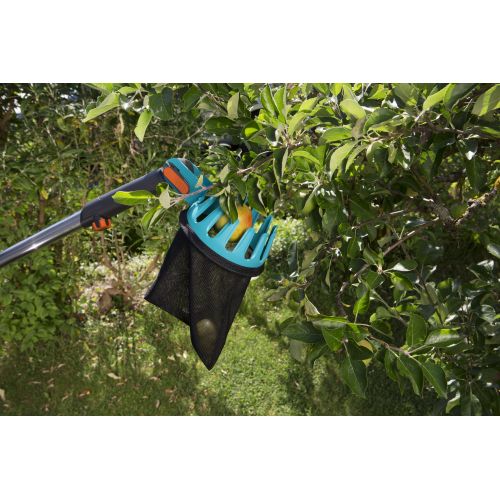 Recolector de fruta Combisystem