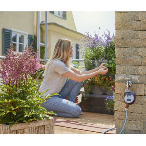 NatureUp! Set Básico Vertical con riego