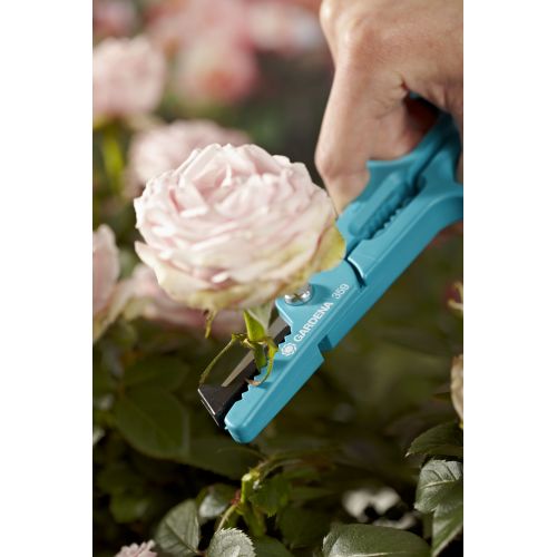 Tijeras para cortar rosas