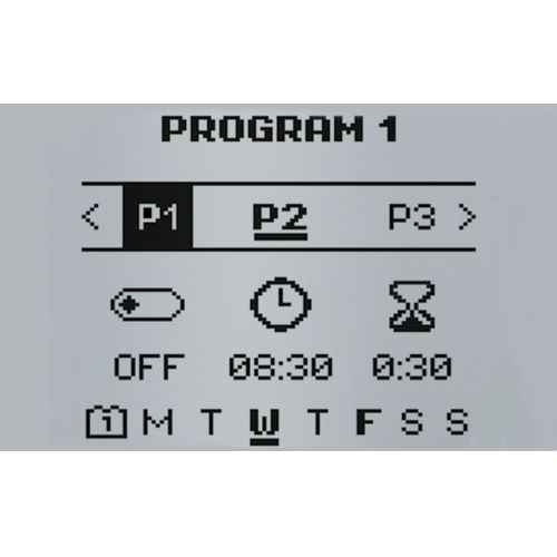 Programador Master