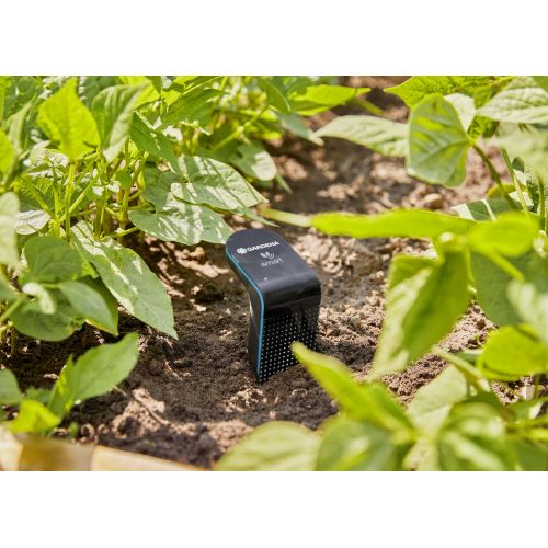 Sensor Smart
