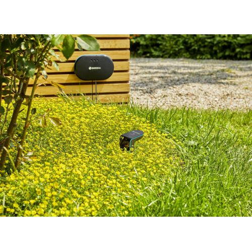 Sensor Smart