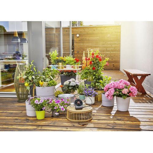 Set de Riego AquaBloom