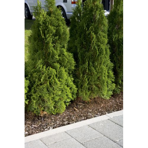 Manguera de riego por goteo equipada de 7,5 m