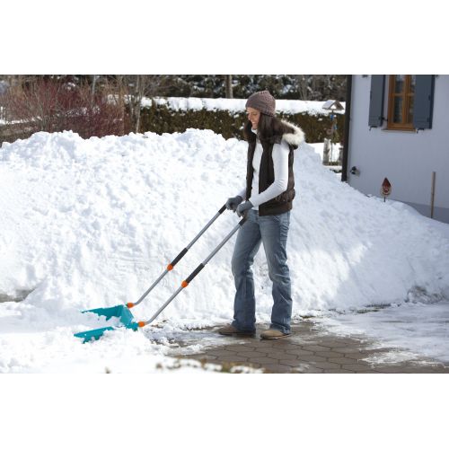 Recogedor de nieve