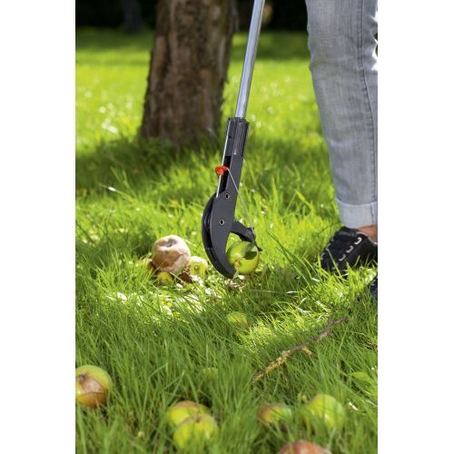 Pinza de jardín