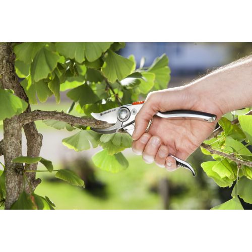 Tijeras para podar rosales BP 50 Premium