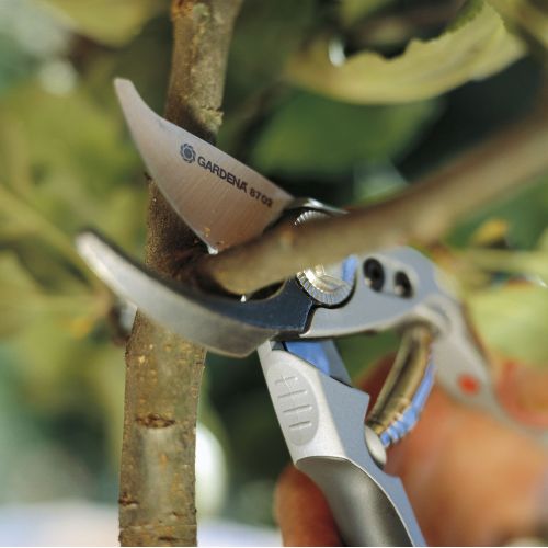 Tijeras para podar rosales BP 50 Premium