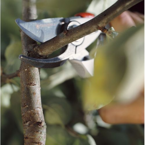 Tijeras para podar rosales BP 50 Premium