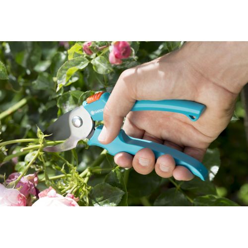 Tijeras para podar rosales Classic