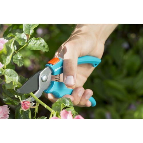 Tijeras para podar rosales Classic