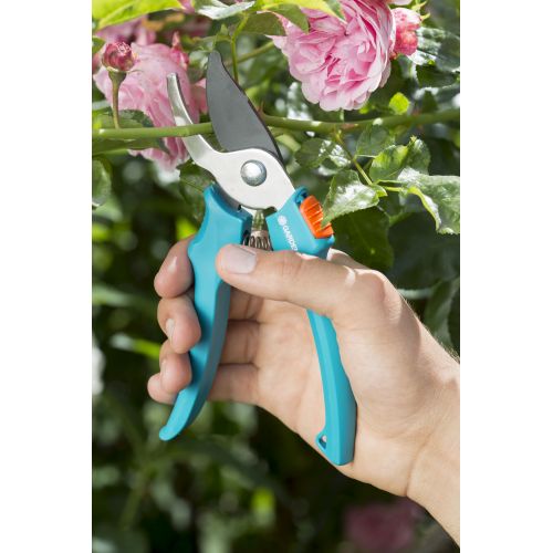 Tijeras para podar rosales Classic