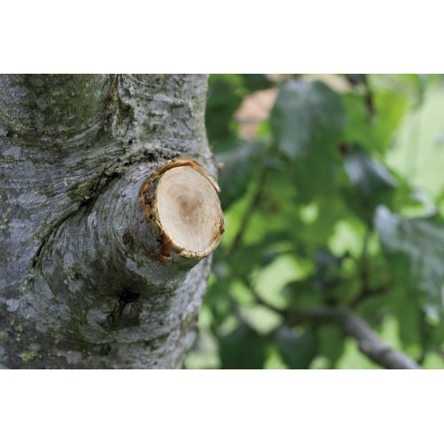 Cortarramas de trinquetes SmartCut Comfort